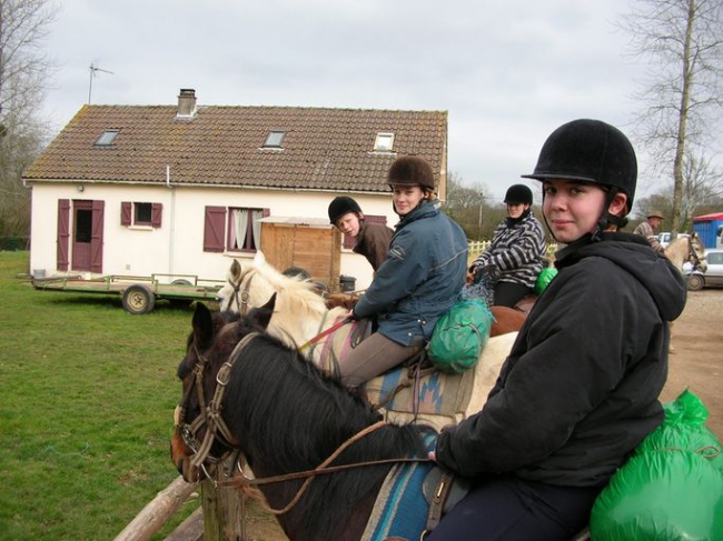 Secteur professionnel : Cheval